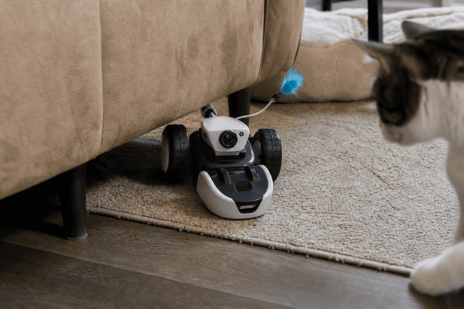 Mousr emerging from below a sofa during a home test