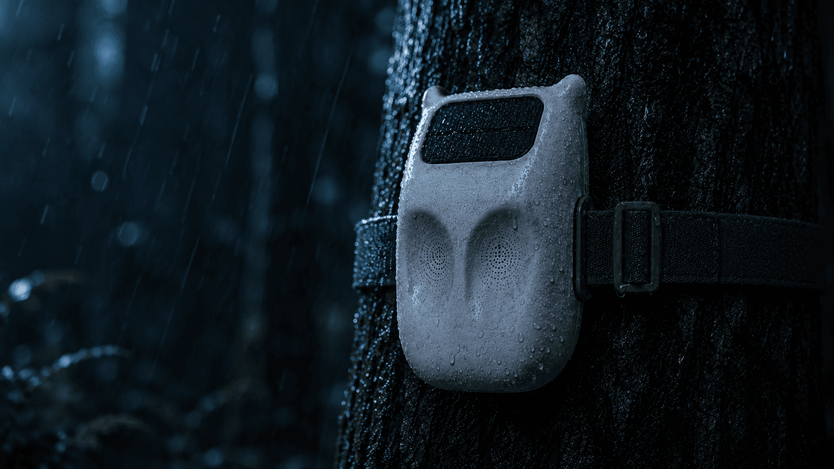 TreeOwl sensor strapped to a tree in rain