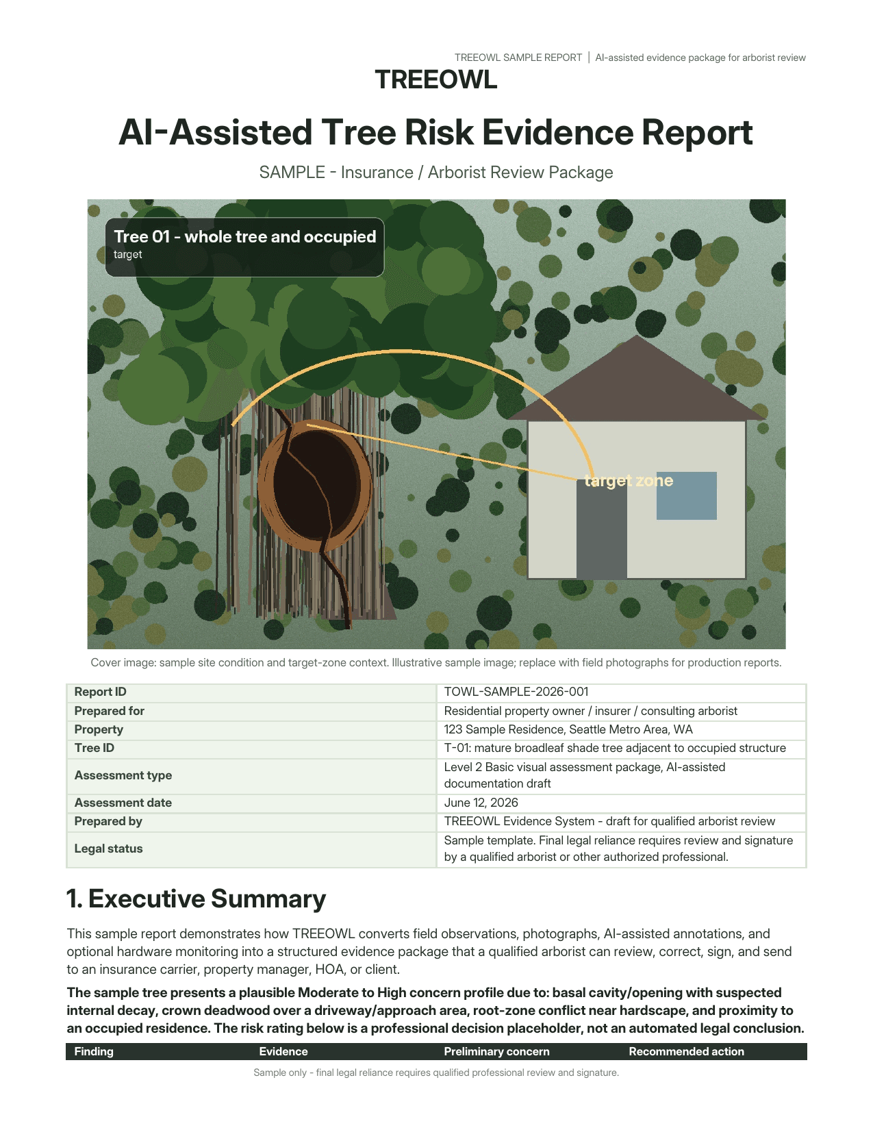 TreeOwl AI-assisted tree risk evidence report cover